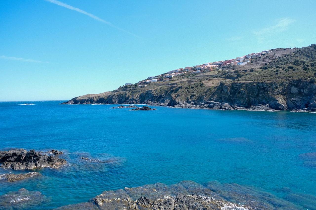 F3 En Bord De Mer Avec Piscine Cerbère Dış mekan fotoğraf