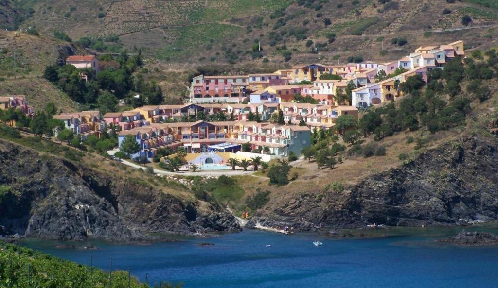 F3 En Bord De Mer Avec Piscine Cerbère Dış mekan fotoğraf